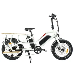 20 дюймов помощи педалированию Грузовые Велосипеды для взрослых 500w hubless мотор ССА, фара для электровелосипеда в 48v 15Ah Доул батареи электрических грузовых велосипедов