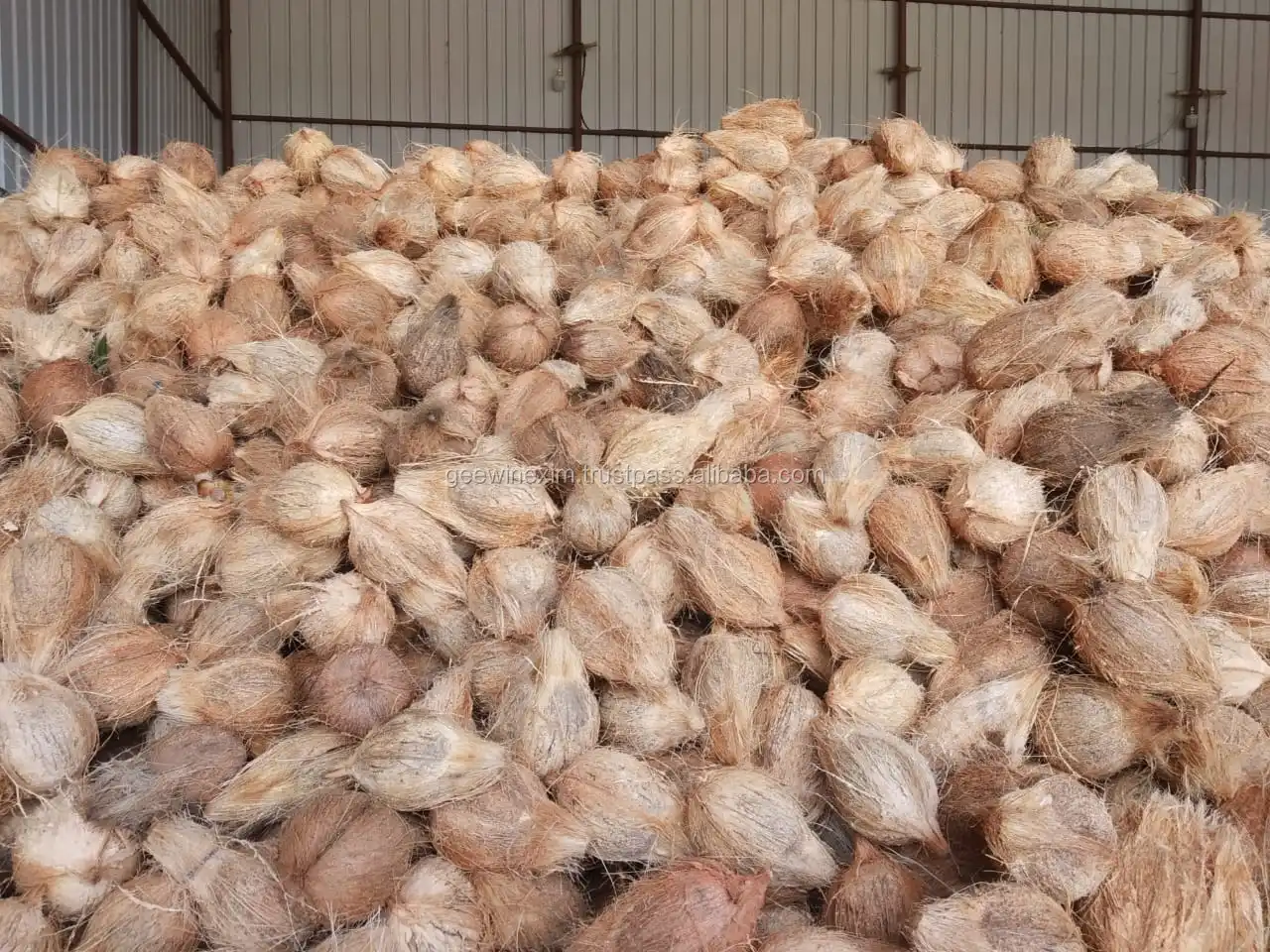 EXPORT QUALITY INDIA COCONUT