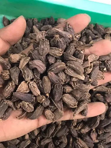 Оптовая продажа сухое сырье cardamom корицы цинамона приготовление пищи черная корица производитель из Вьетнама