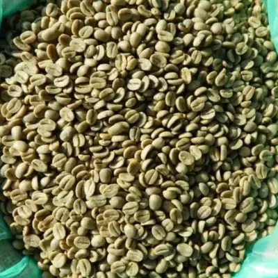 Brazil Washed Process Quality Arabica Green Coffee Beans Raw Beans Wholesale