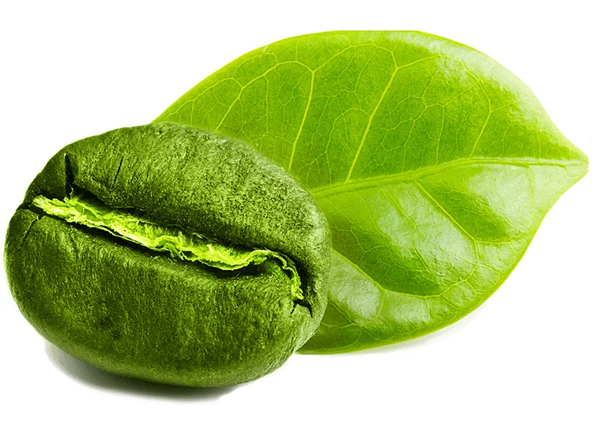 
An Thien green coffee bean made in Vietnam with 100% natural and good price to use 