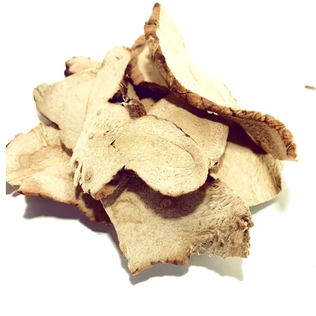 The best price of Dried Galangal slices in water as herb and health supplement good for your blood From Thailand