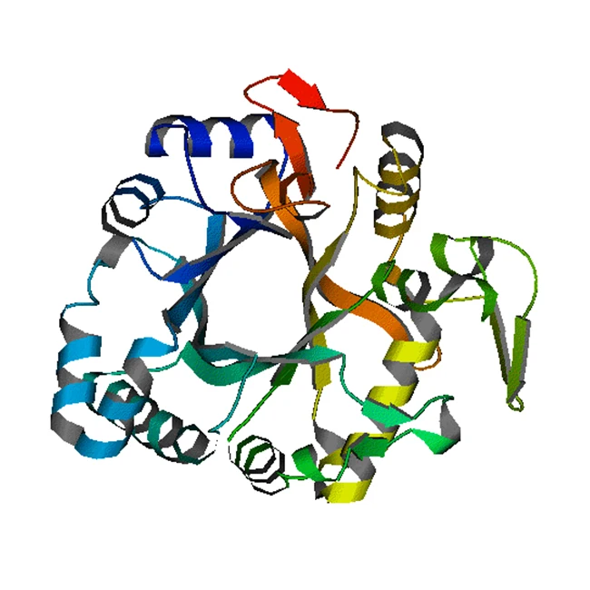 Best Quality Bulk Beta Glucanase Enzyme Product Buy At Wholesale Price - Zealmax Biopharma