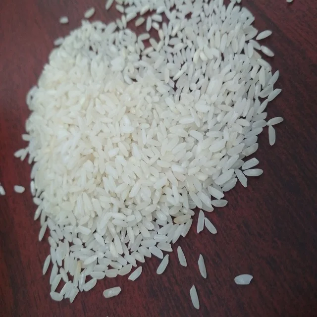 Indian Ponni White Rice Short Grain 5% Broken Rice