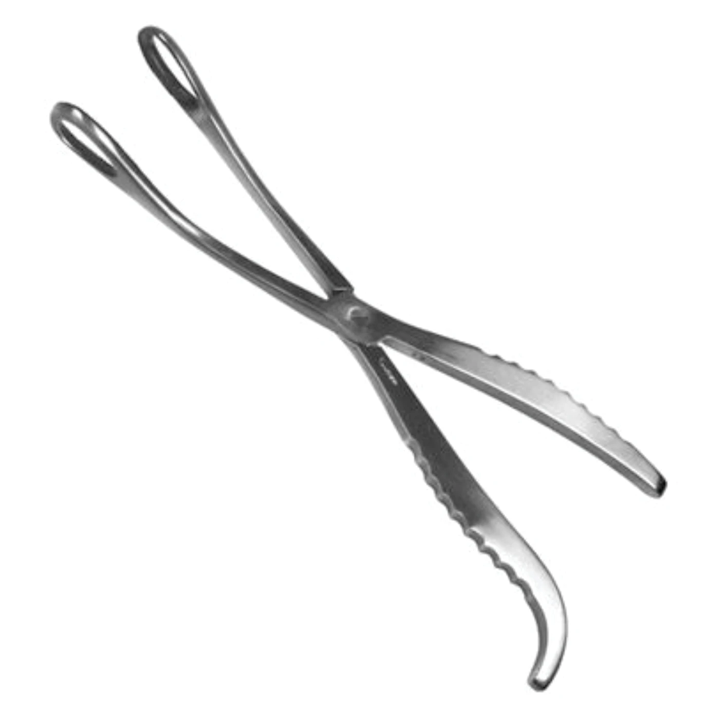 Surgical Instruments McLean Whelpings Forceps 8 Inch Small Breed Unit of Measurement Stainless Steel CE Approved