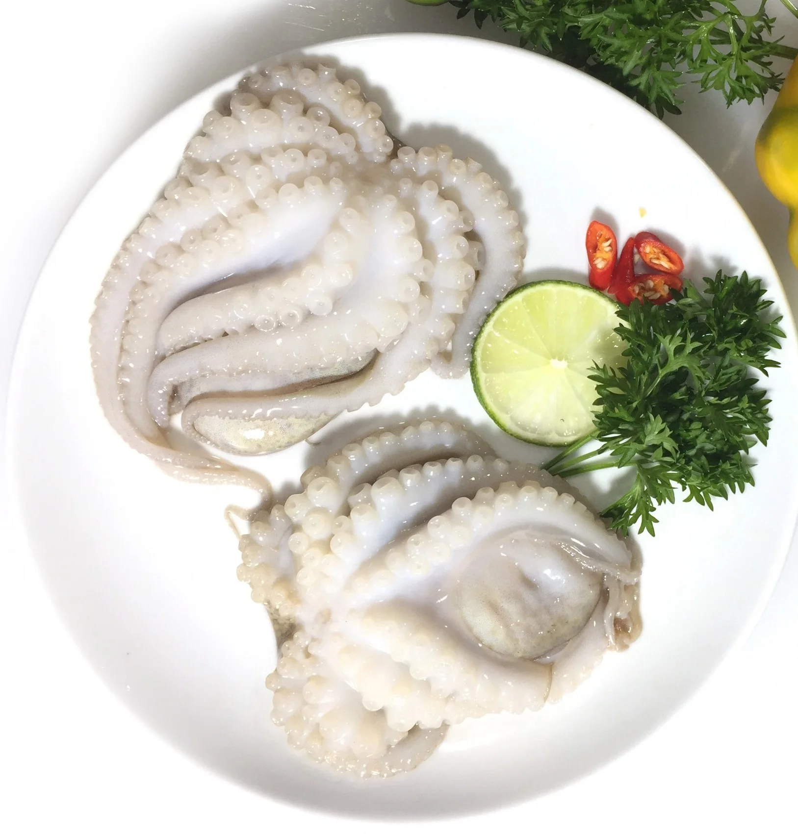 Exporting Bulk Reasonable Price Frozen Whole Baby Octopus From Vietnam Seafood
