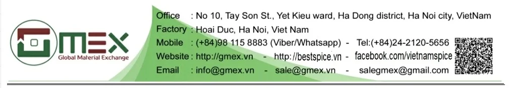 GMEX.vn.jpg