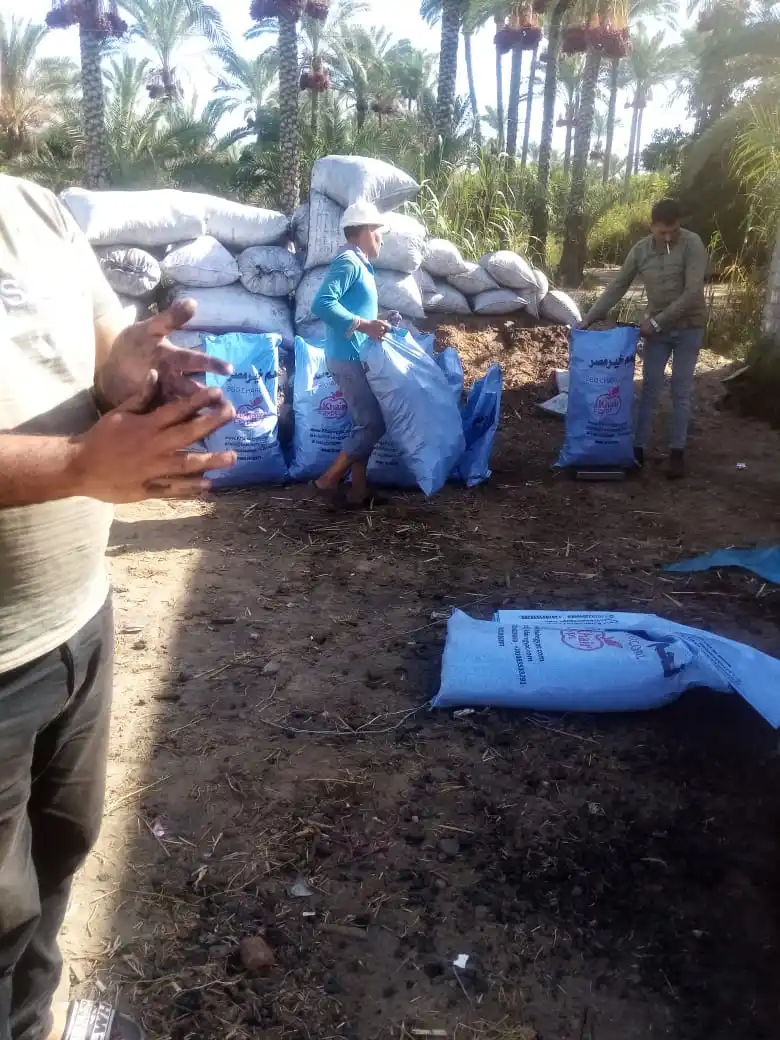 Высококачественный натуральный уголь без запаха по очень низкой цене FOB