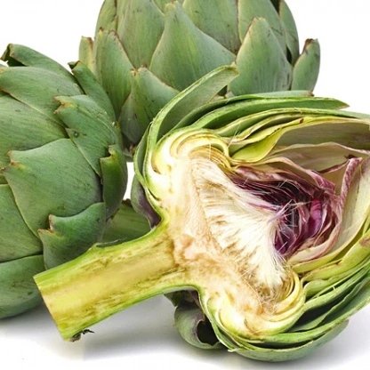 Superfine organic artichoke flower at best price - Whatsapp: +84-845-639-639
