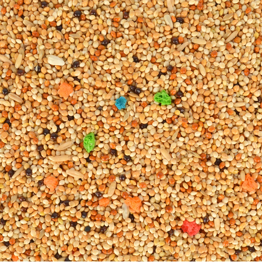 Quik Budgie Food 750 + 250 gr