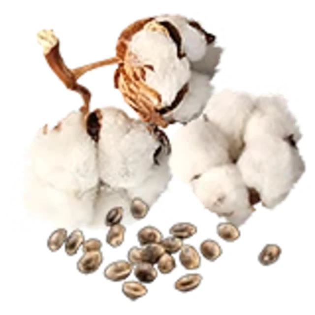 
Factory Price Top Sell Best Quality With Cottonseed Cottonseed Hull Pellets High Protein Cotton Seed Meal Cottonseed 