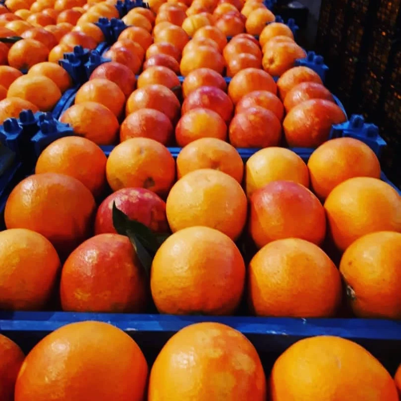 
Valencia Oranges / Fresh Naval Orange / MANDARIN 