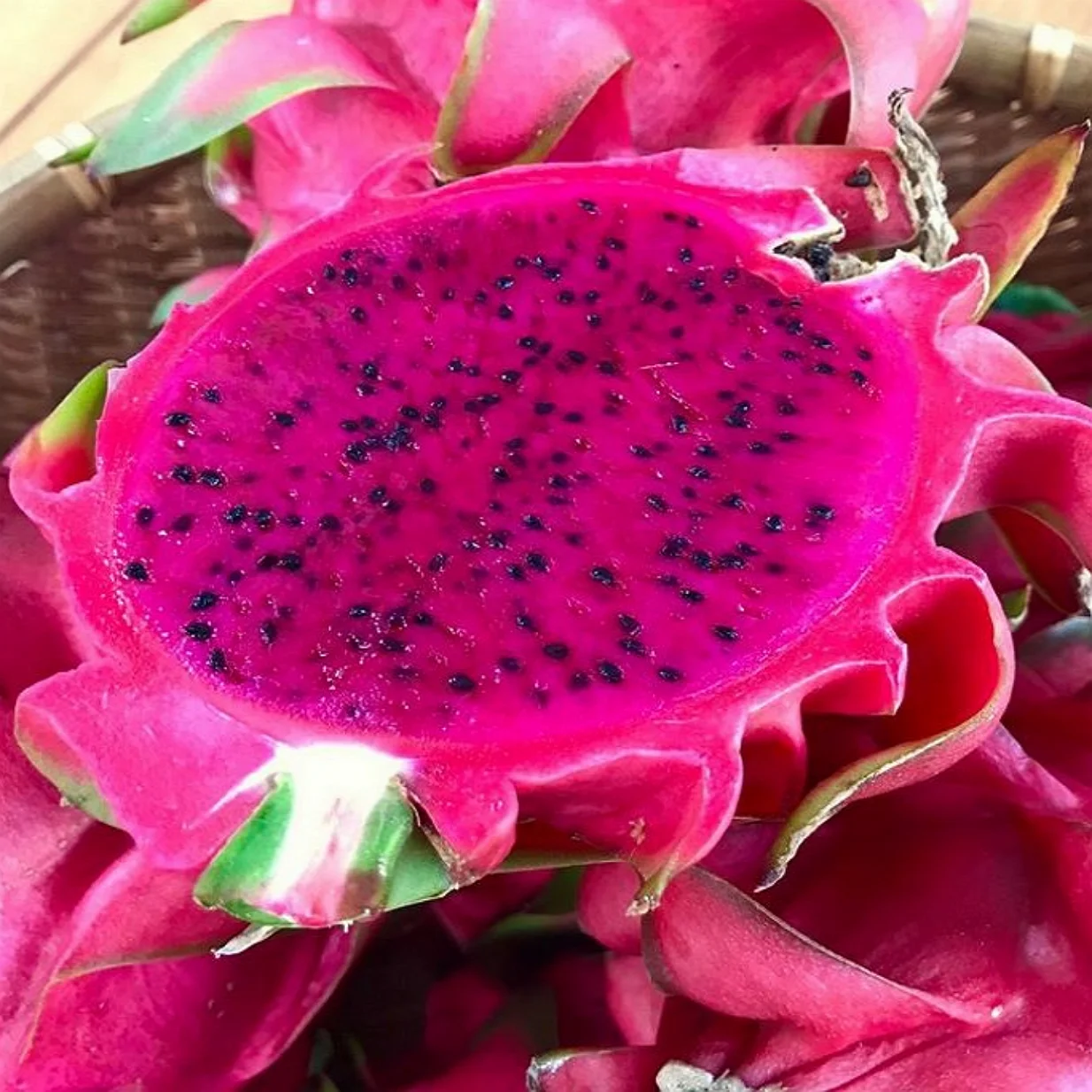 
Red and White Dragon Fruit / pitaya at competitive price !!! 