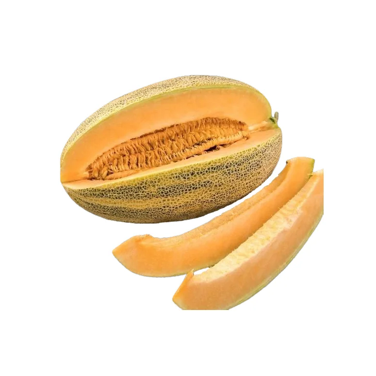 High quality fresh ktasnomyaska melon for sale from Uzbekistan manufacturer wholesale price for export