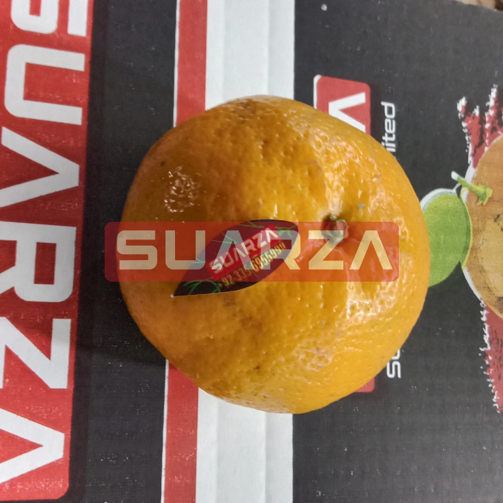Best Sale High Quality Competitive Price Orange