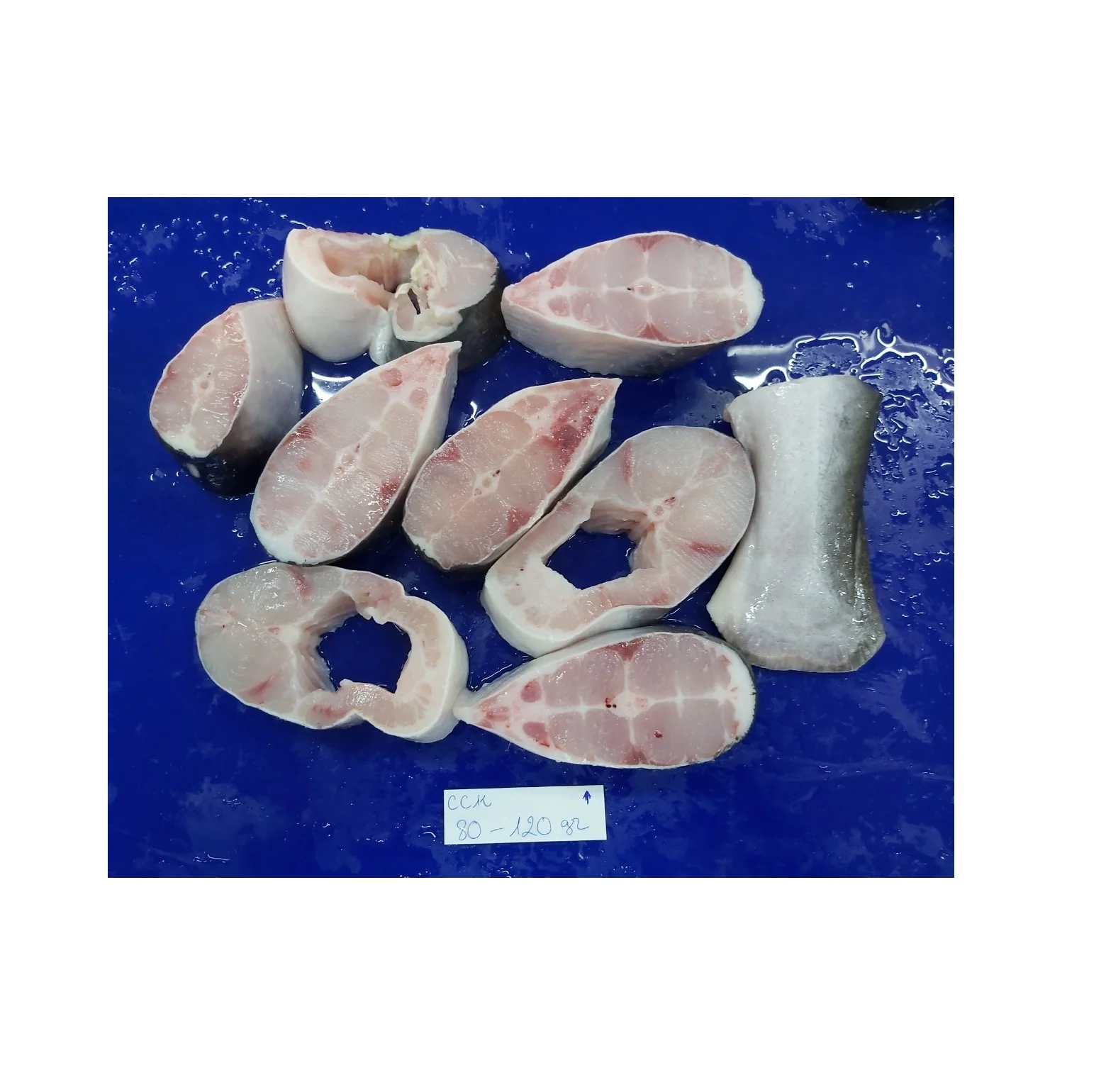 Frozen Seafood Pangasius Hypophthalmus/ basa fish cutting machine Wholesale Suppliers