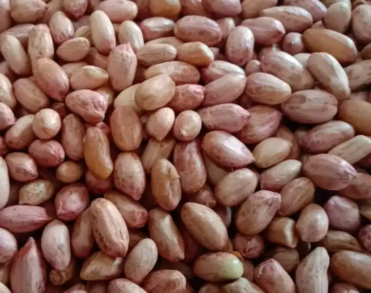 Red Skin Peanuts