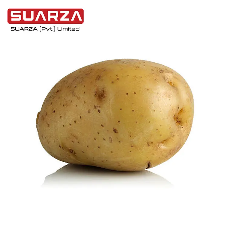 Pakistani Fresh Potato direct supplier from Pakistan
