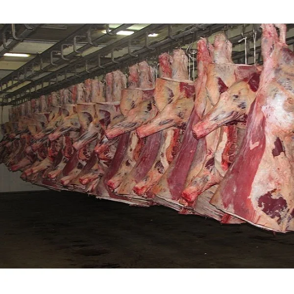 
Frozen Buffalo Meat,Beef Meat and Veal Meat at affordable price China APPROVED 