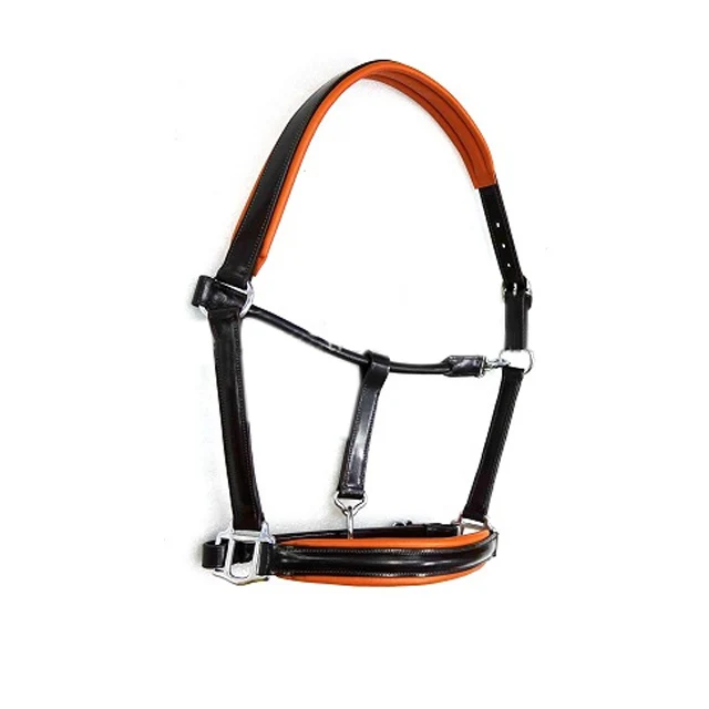 Leather Bling Horse Halters soft padded all types of fittings