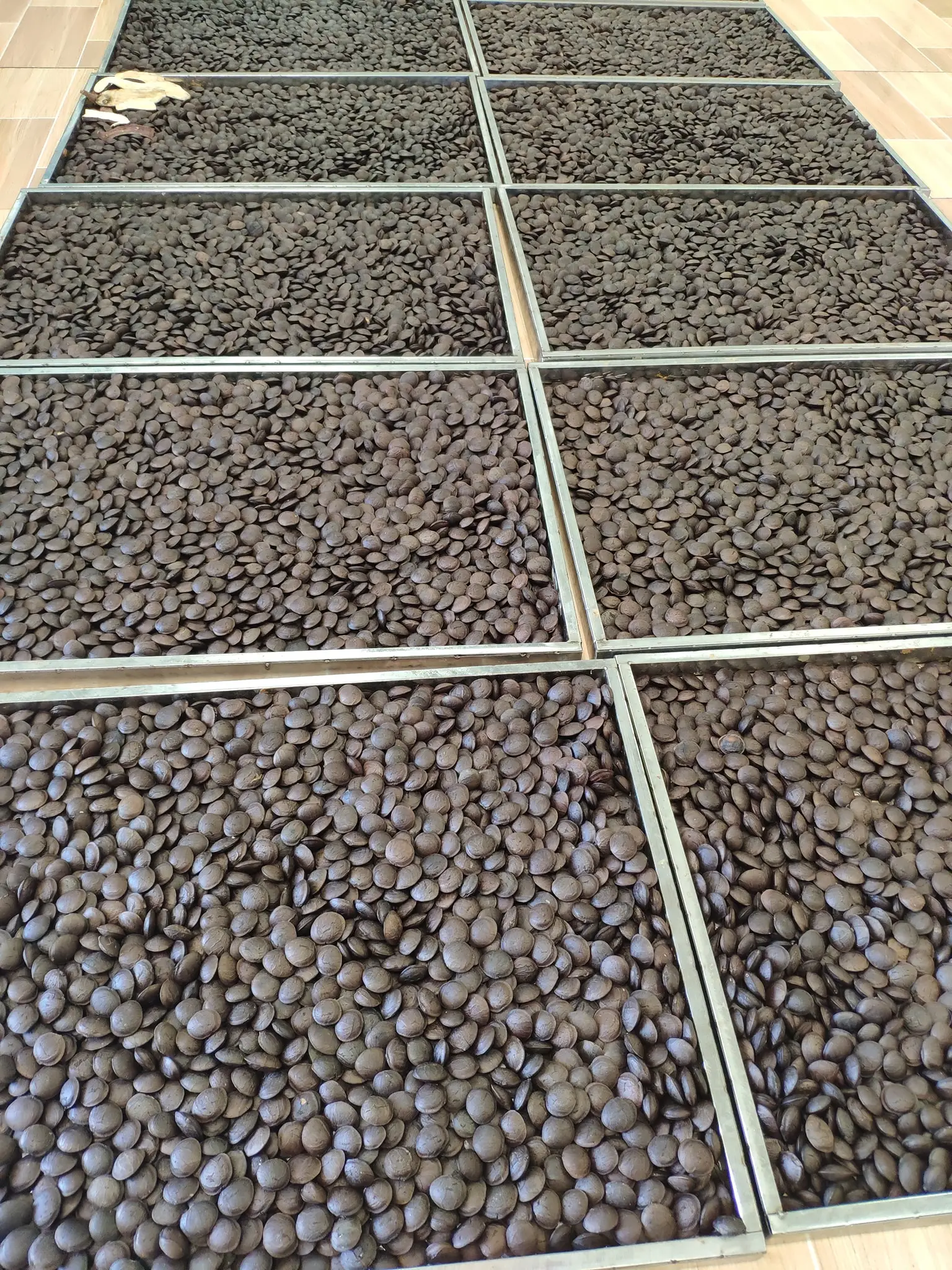 Жареные орехи индийские вьетнамские белые Sacha Inchi Plukenetia объемные из Вьетнама 0084947900124