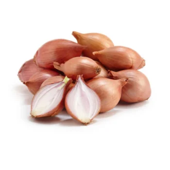 Fresh Shallot Onion For Sale From Turkey Best Price 2021 High Quality