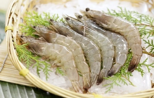 Vietnam Frozen Black Tiger Shrimp HLSO Headless Shell On Shrimp Shrimp to Export