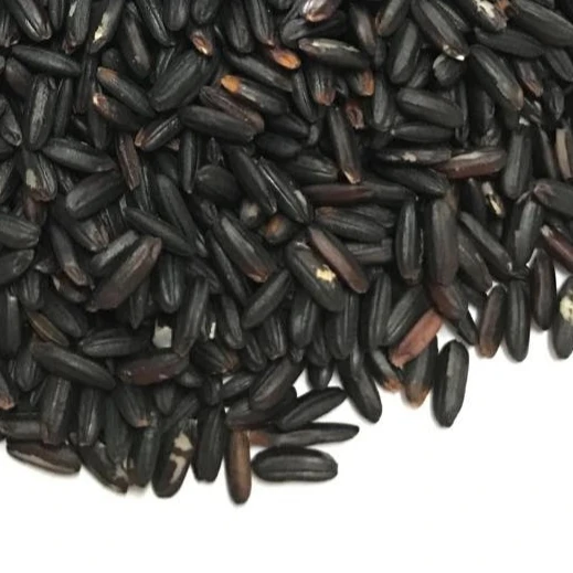 Organic Long Grain Purple Rice Fragrant Dried Sticky Rice Good for Diabeters and Dieters