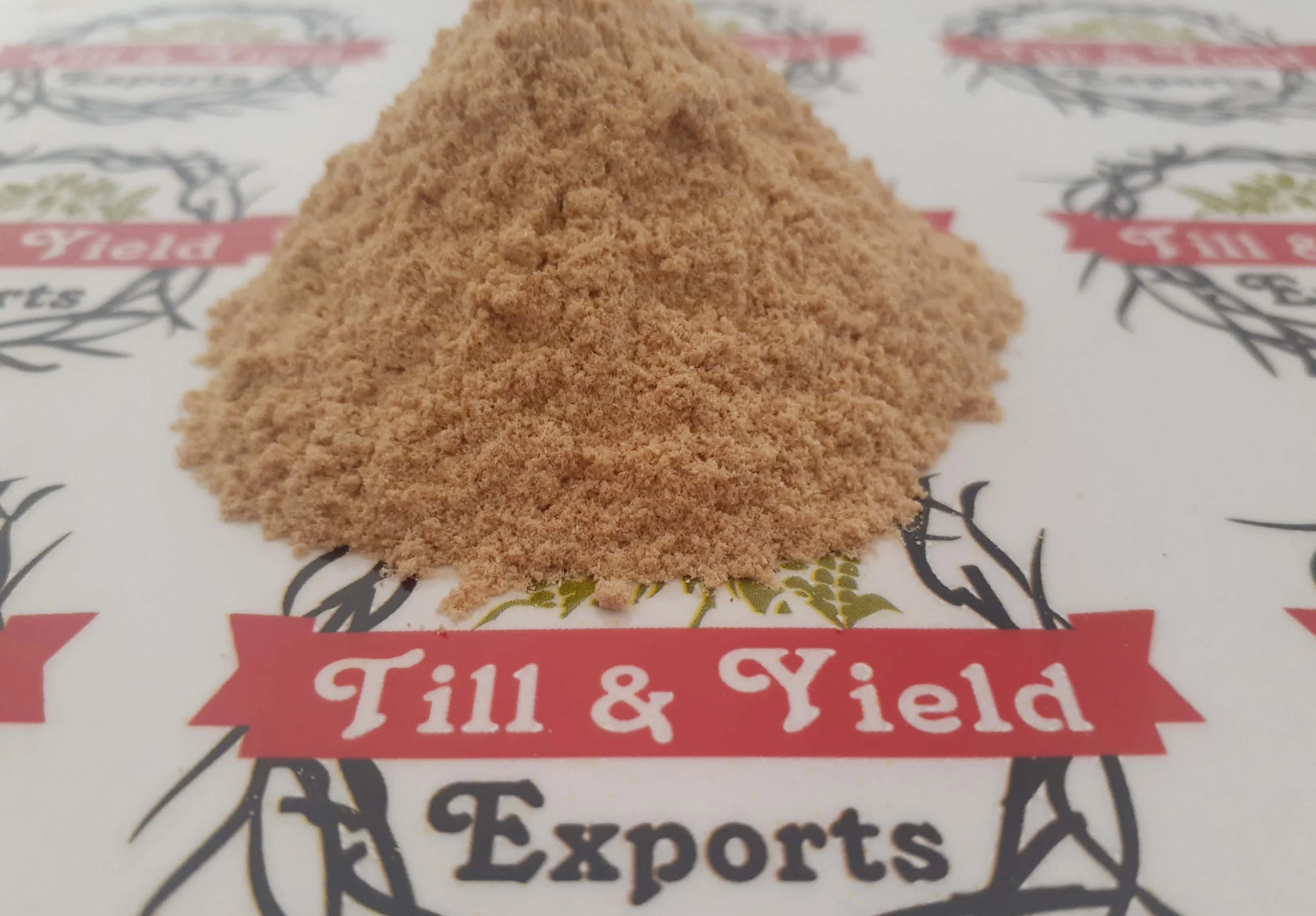 Premium Quality Garlic Powder Indian Kadha For Improve Immunity Compounds With Potent Medicinal Properties