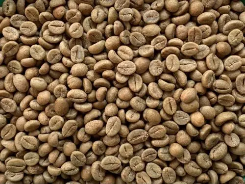 Langbiang Coffee Beans Dry To The Standard Made Sticky Like Honey Moisture Robusta Honey S16