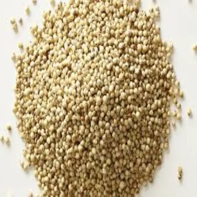Сушеные органические зерна семени сорго