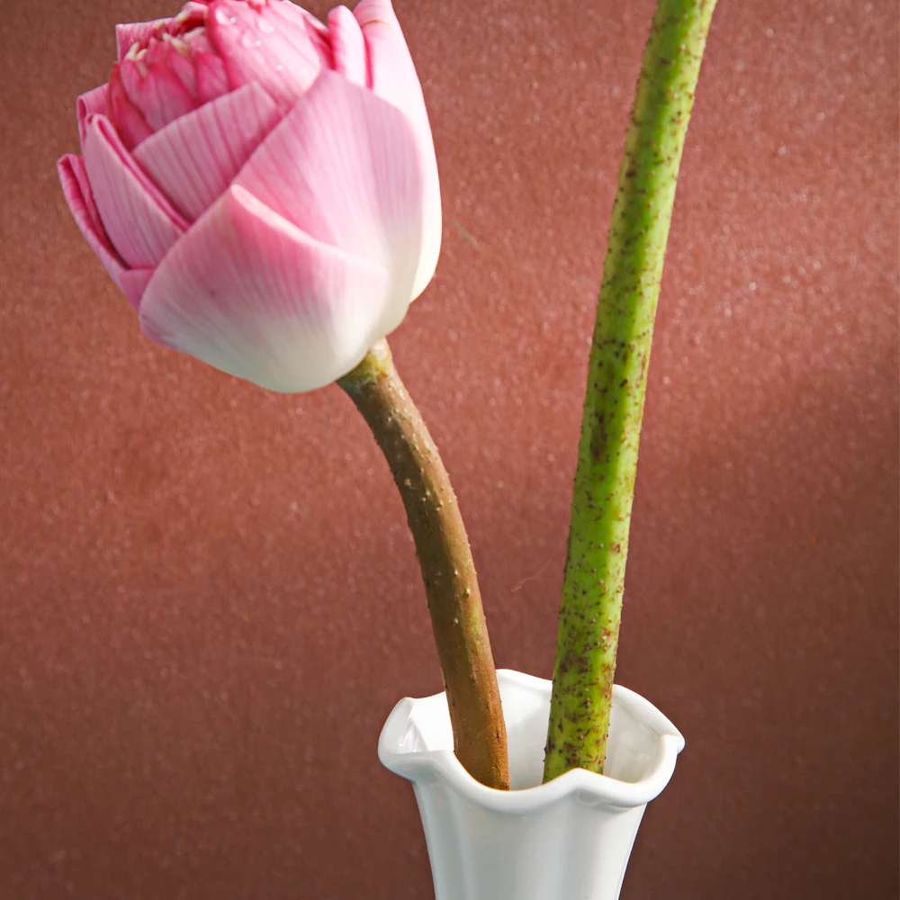 OEM белая фарфоровая ваза-Высококачественная Белая Фарфоровая Ваза с расклешенным горлышком оптовая продажа от производителя посуды