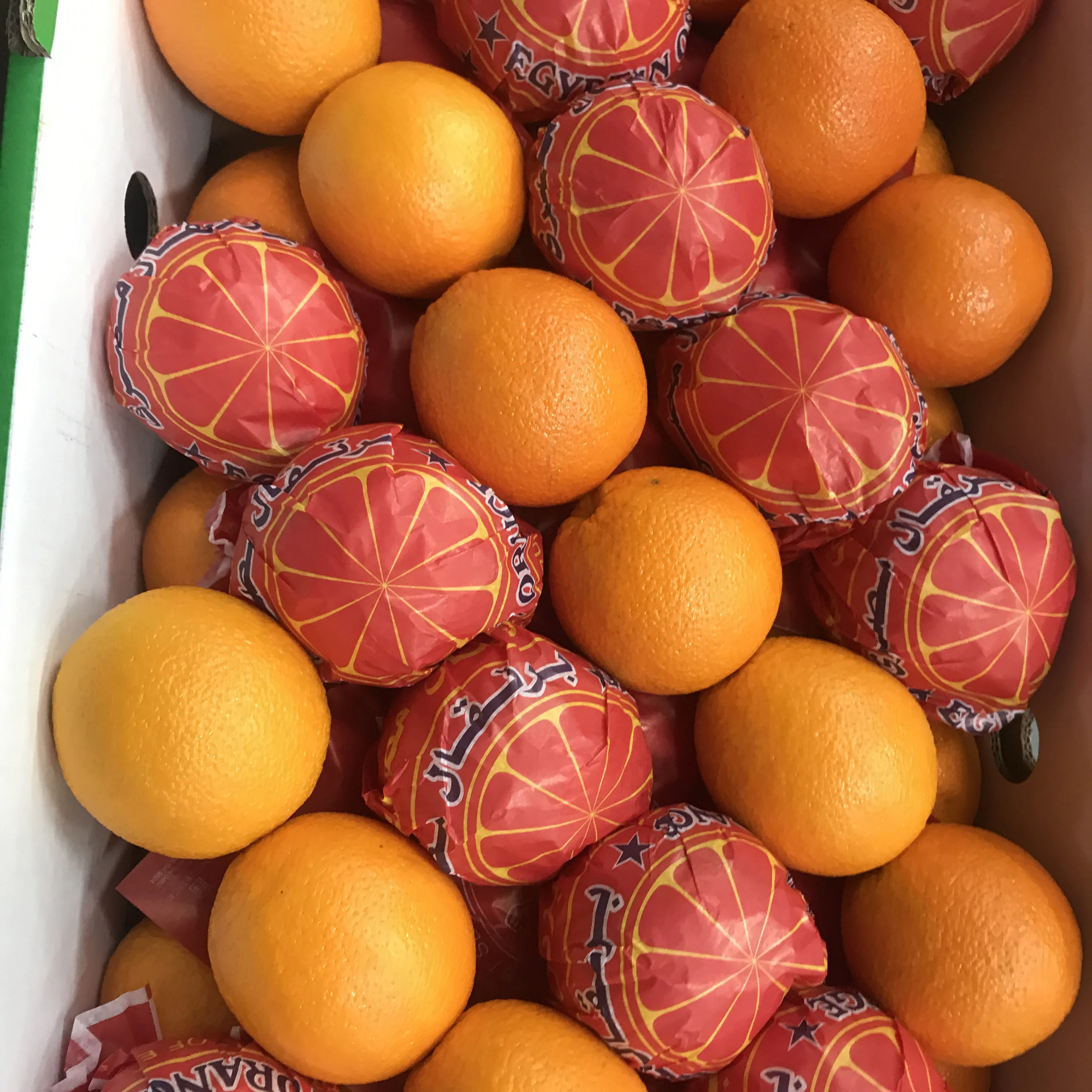 BEST QUALITY ORANGES