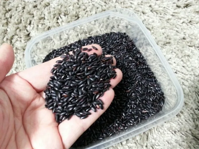  Фиолетовый рис лидер продаж Круглый клейкий ВЬЕТНАМСКИЙ РИС премиум-класса с черным рисом и фиолетовой Blutinous (Ms Деми + 84 961 733 400)