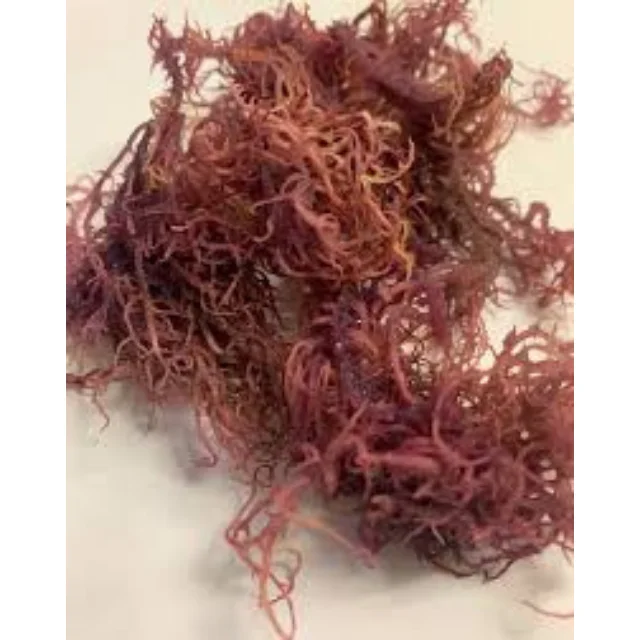 DRIED PURPLE SEA MOSS 100% NATURAL WITH CHEAP PRICE AND HIGH QUALITY FROM VIETNAM IN 2023