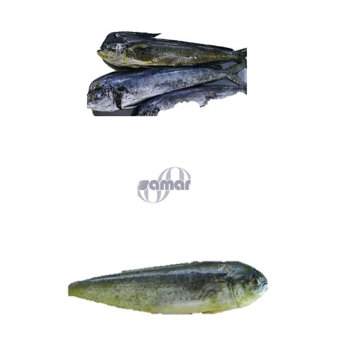 
Замороженная рыба Mahi - MAHI для продажи 2020, оптовая продажа, Лучшая цена, свежая дикая рыба 
