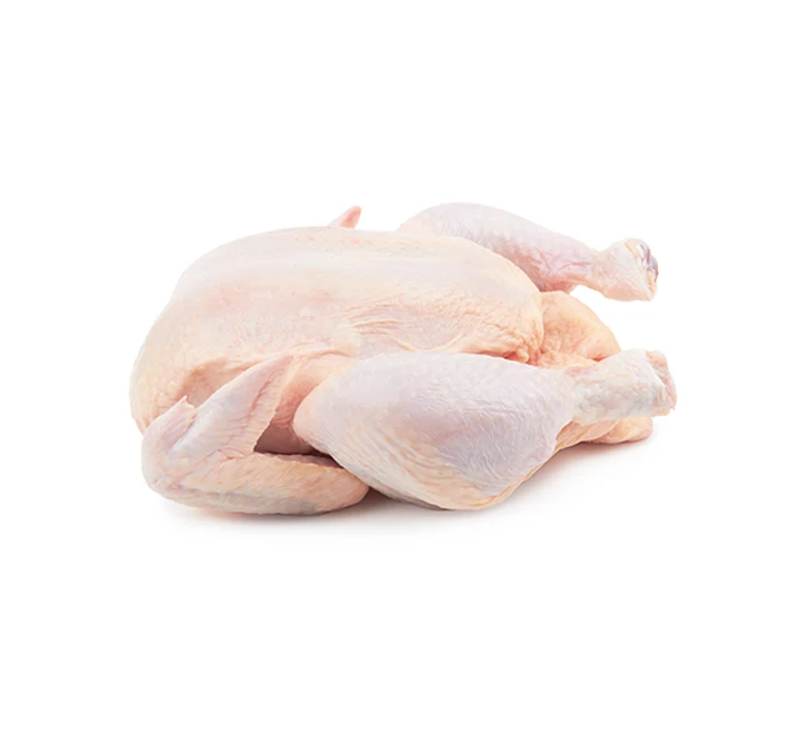 HALAL Frozen Whole Chicken For Sale