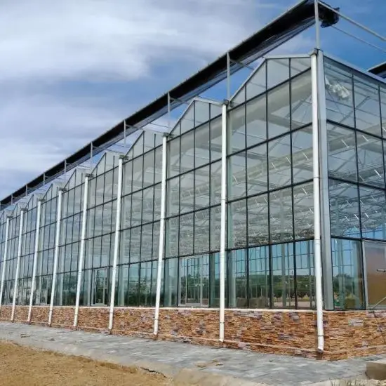Large Automatic Intelligent Agricultural Glass Greenhouse with Soilless Culture Hydroponic Drip Irrigation System