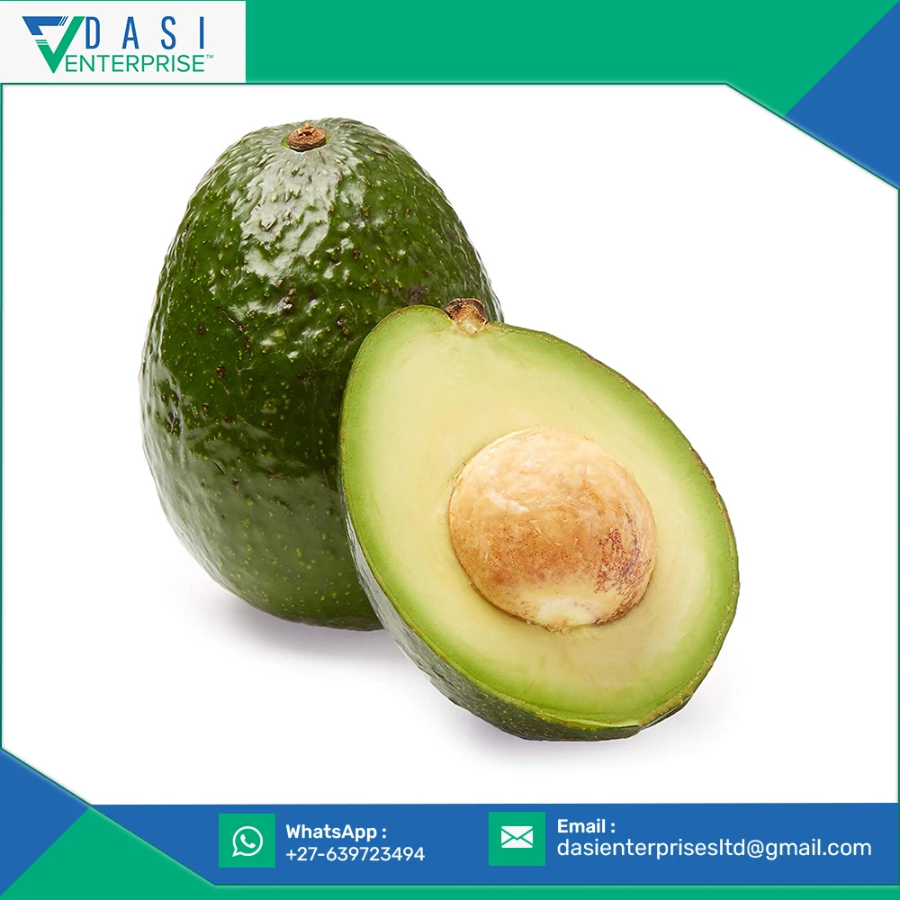World Wide Selling Of Standard Quality Freshly Grown Avocado Available in Great Stock at Best Price