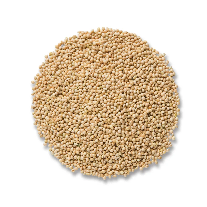 
Organic Yellow Millet With Reasonable Price 