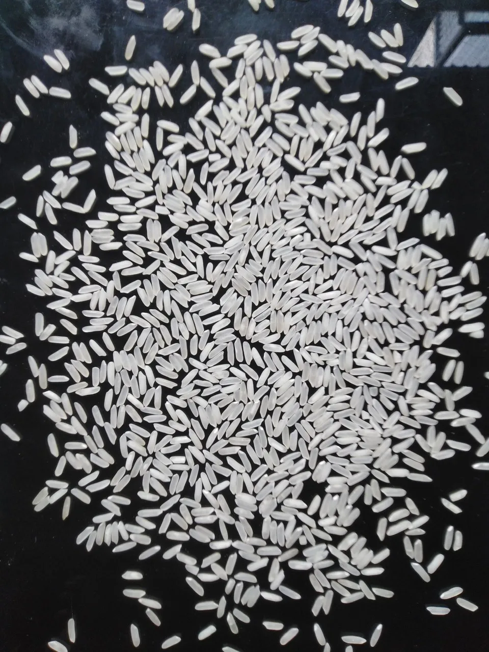 100% Natural Best Quality Viet Nam Jasmine Rice 5% Broken with Soft Texture and Perfume Sweet Kind for SALE