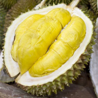 Вьетнам поставщик-RI 6 дуриан сладкий вкус-с лучшей ценой и хорошей на экспорт/мисс Триш + 84 984 696 874
