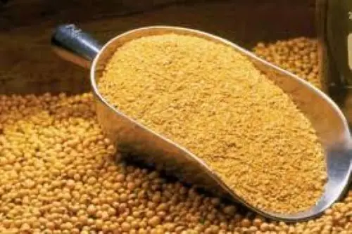 SOYBEAN MEAL