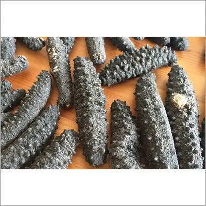 Sea cucumber with good prices and package as per wants.