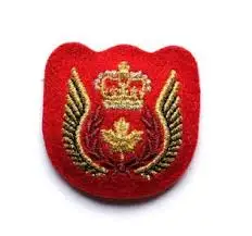 Значки вышивки ранг и назначения представлено в двух WO1 & WO2 значок ВВС США офицерская форма значки