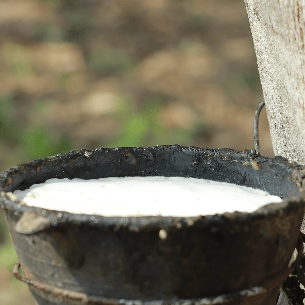 Best Price 100% Raw Rubber Cup Lump High Quality