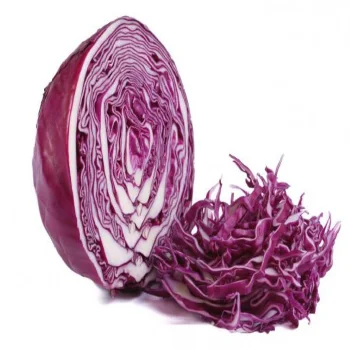 
Fresh Red Cabbage Wholesale From Turkey 