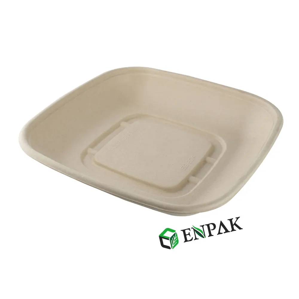 Biodegradable Food disposable Paper Packaging Box