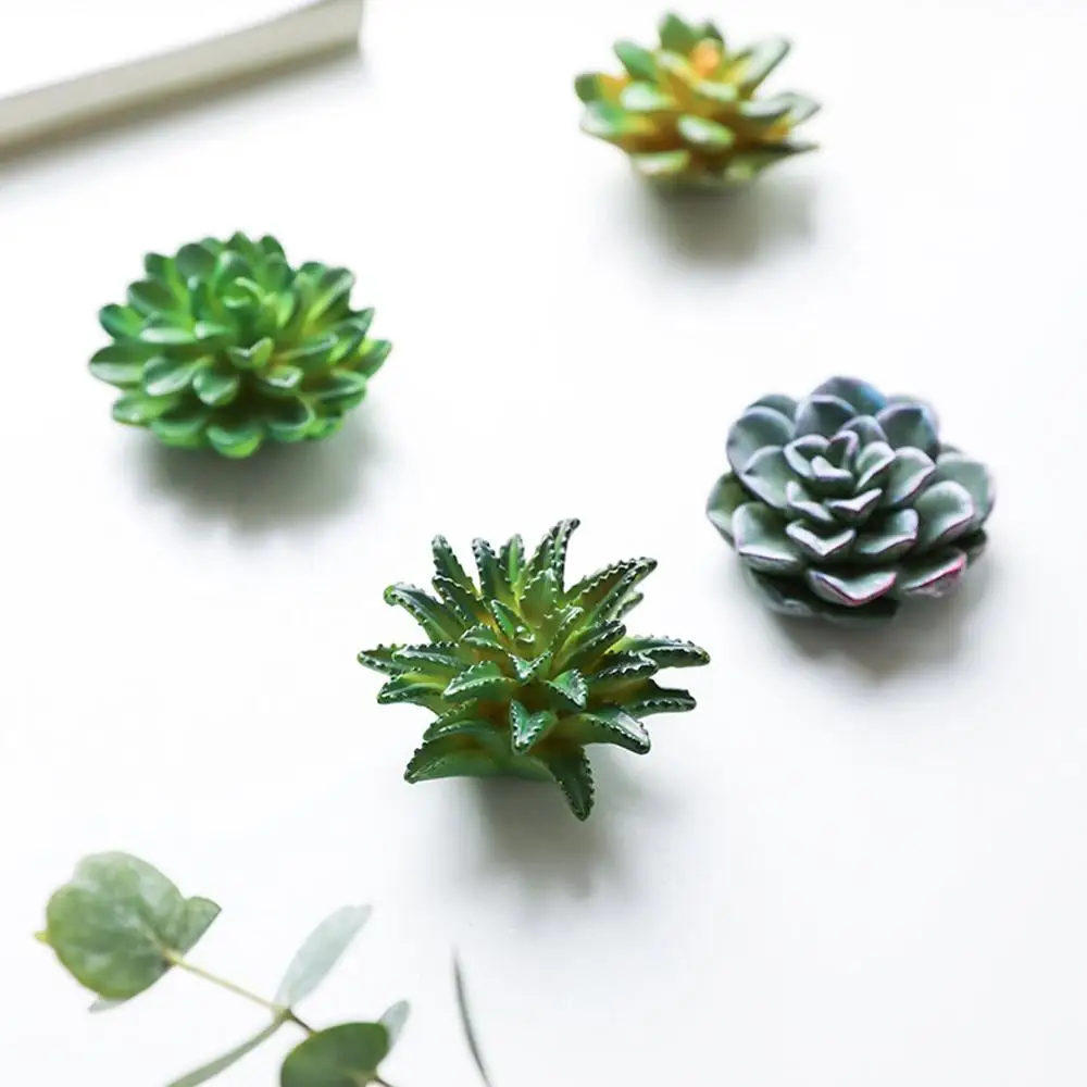 Funny 3D Resin Succulent Fridge Refrigerator Magnets Good Gift for Kid Friends
