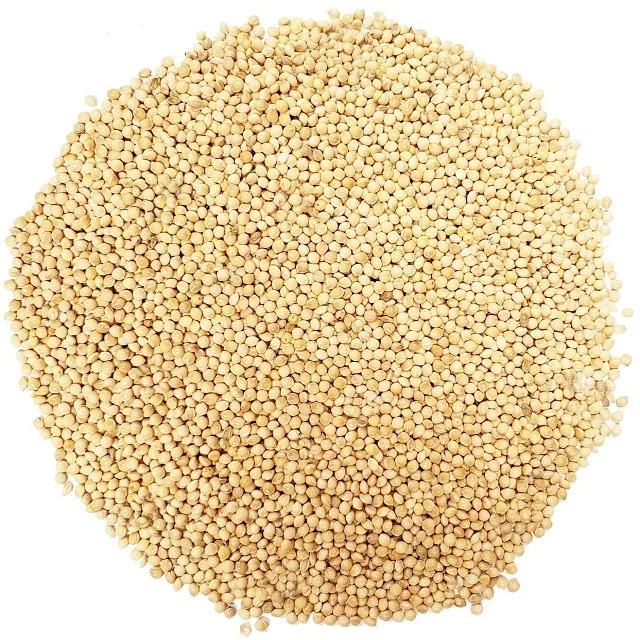 100% Organic Yellow Millet With No Added Preservatives Highest Selling Product For Bird Feeds